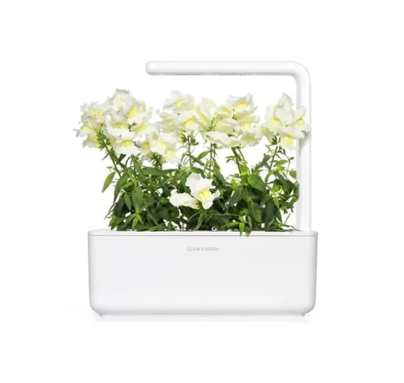Click & Grow Smart Refill White Snapdragon 3 stk