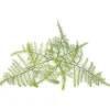 Click & Grow Smart Refill Feather spar 3stk