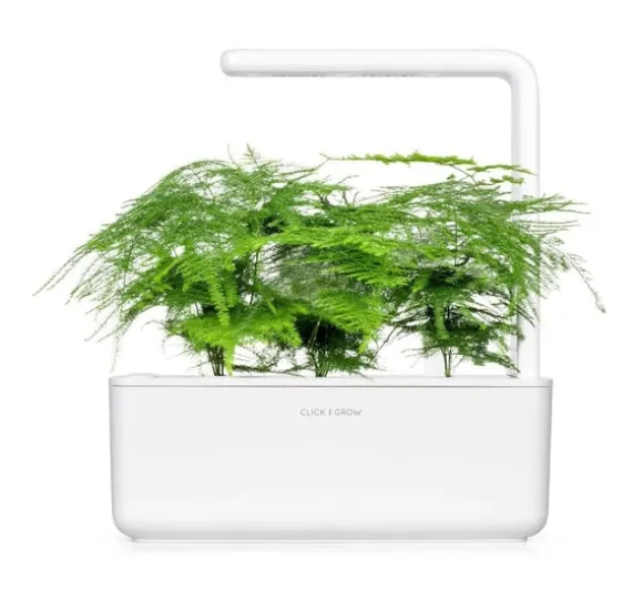 Click & Grow Smart Refill Feather spar 3stk