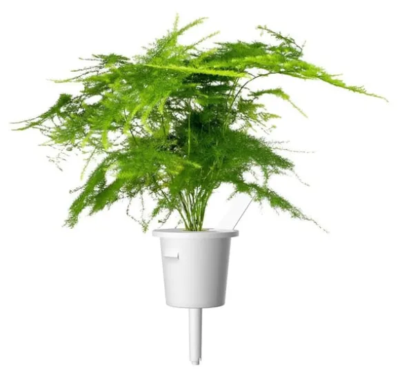 Click & Grow Smart Refill Feather spar 3stk