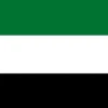 De Forenede Arabiske Emiraters flag
