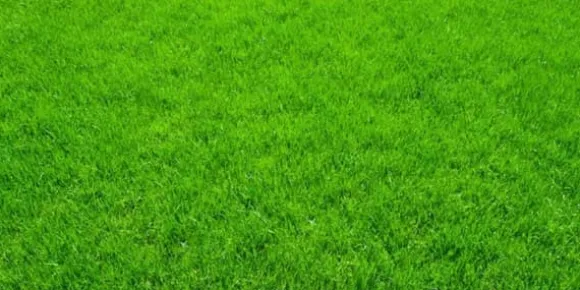 DOLOMIT Calcium-Magnesium Gødningspulver 10 kg BIOVITA