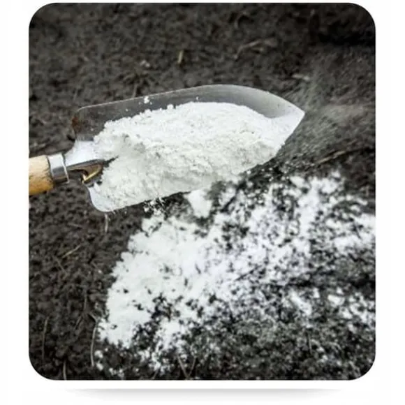DOLOMIT Calcium-Magnesium Gødningspulver 10 kg BIOVITA