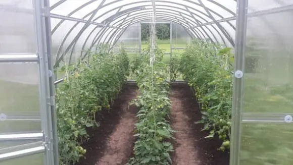 Drivhus Baumera BALTIC 3x10m med 6 mm polycarbonatbelægning
