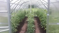 Drivhus Baumera BALTIC 3x8m med 6 mm polycarbonatbelægning