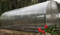 Drivhus Baumera Klasika 3x10m med 4 mm polycarbonatbelægning