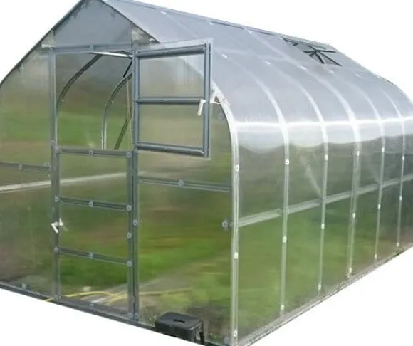 Drivhus Baumera STANDARD 20 - 2,5x8m med 6 mm polycarbonatbelægning