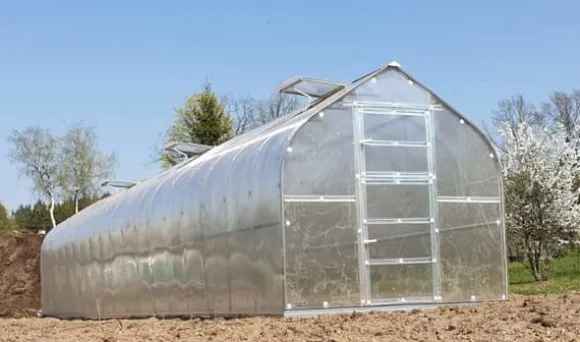 Drivhus Baumera STANDARD 20 - 2,5x8m med 6 mm polycarbonatbelægning