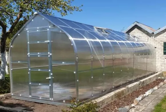Drivhus Baumera STANDARD 20 - 2,5x8m med 6 mm polycarbonatbelægning