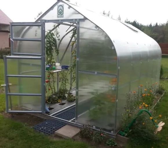 Drivhus Baumera STANDARD 20 - 2,5x8m med 6 mm polycarbonatbelægning