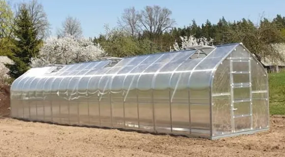 Drivhus Baumera STANDARD 20 - 2,5x8m med 6 mm polycarbonatbelægning