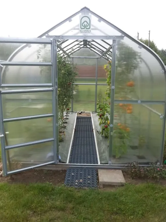 Drivhus Baumera STANDARD 20 - 2,5x8m med 6 mm polycarbonatbelægning