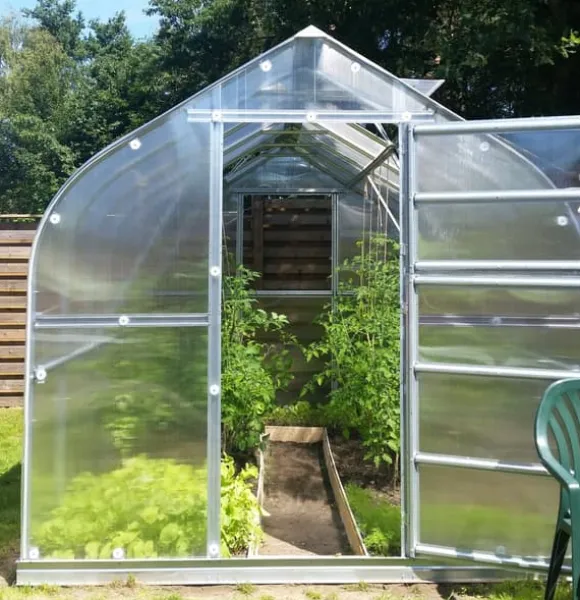 Drivhus Baumera STANDARD 20 - 2,5x8m med 6 mm polycarbonatbelægning