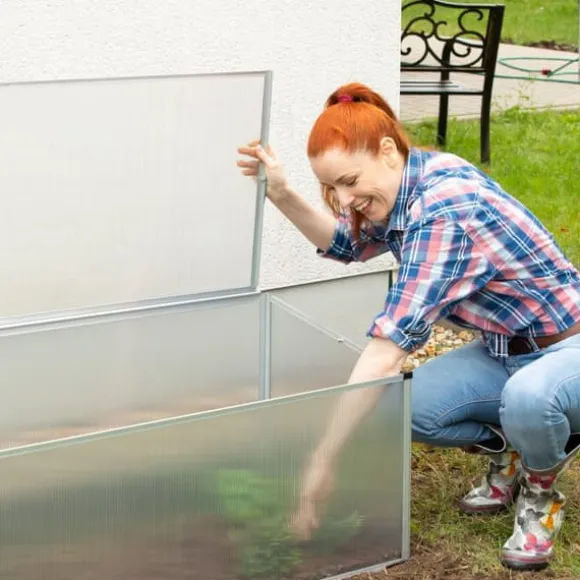 Drivhus til mistbænk, 100x50x50 cm, Transparent
