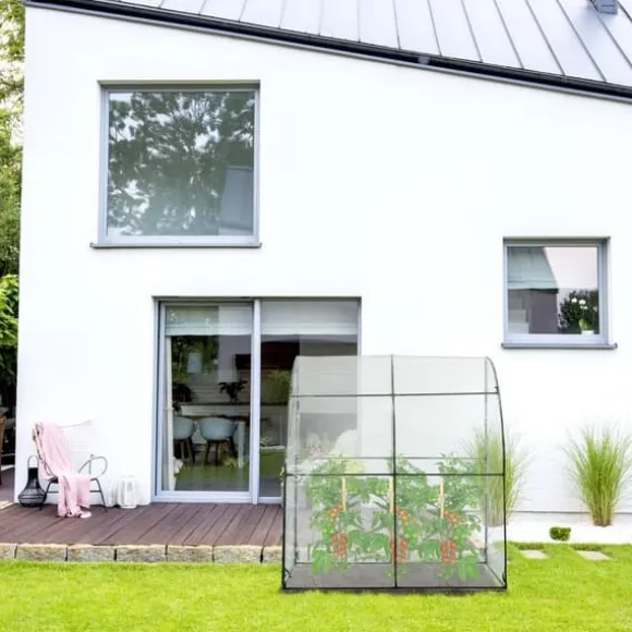 Drivhus, 215x200x100 cm, Transparent