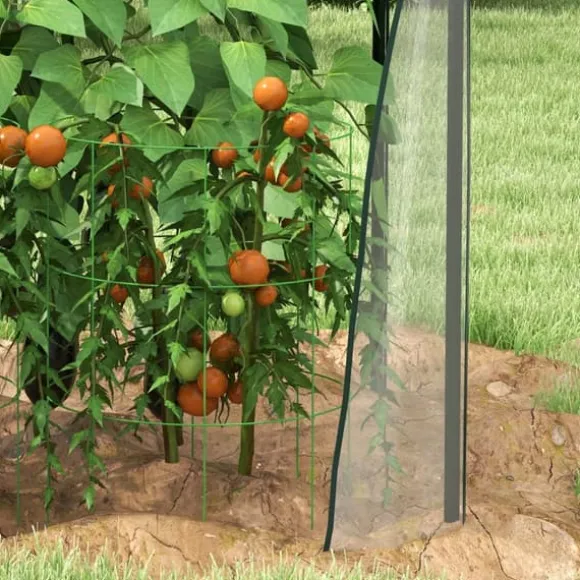 Drivhus, 90x90x145 cm, Transparent
