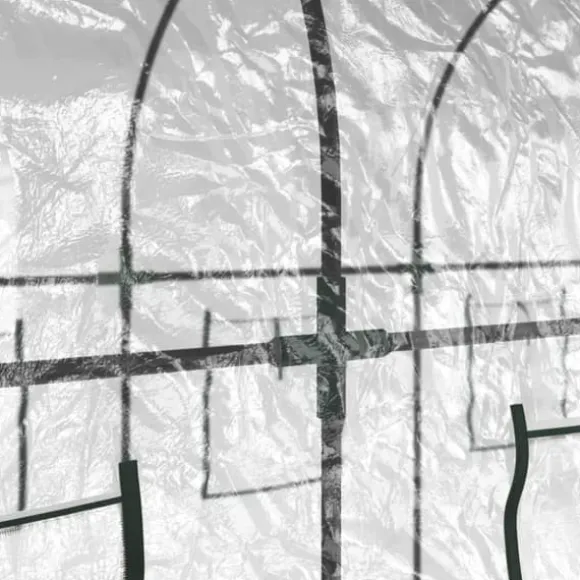 Drivhuse - Living drivhus 160x400x190 cm PVC og pulverlakeret stål transparent