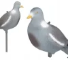DUEFUGLEAFSKRIVNINGSMEDLEM HAVE FIGUR STOR