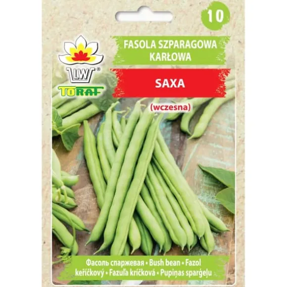 Dværggrønne bønner SAXA 30g