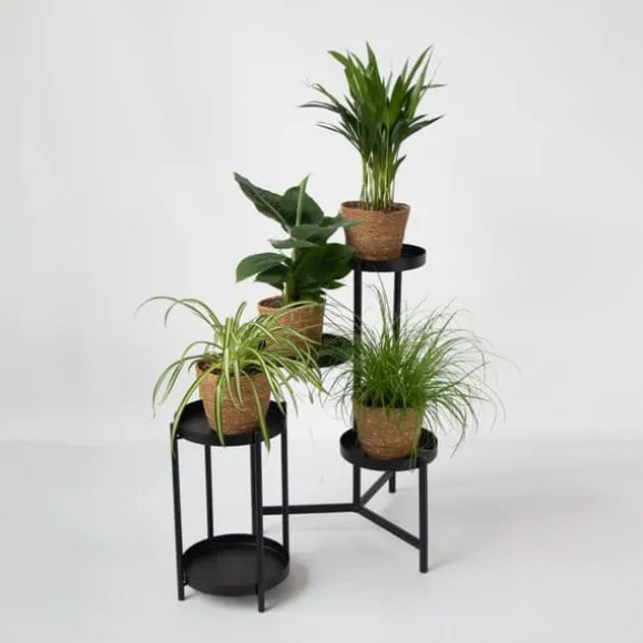 Dyrevenlige planter - Sæt 4 m. kurve - H.25-40cm - ⌀12cm