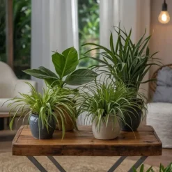 Dyrevenlige planter - Sæt 4 m. kurve - H.25-40cm - ⌀12cm