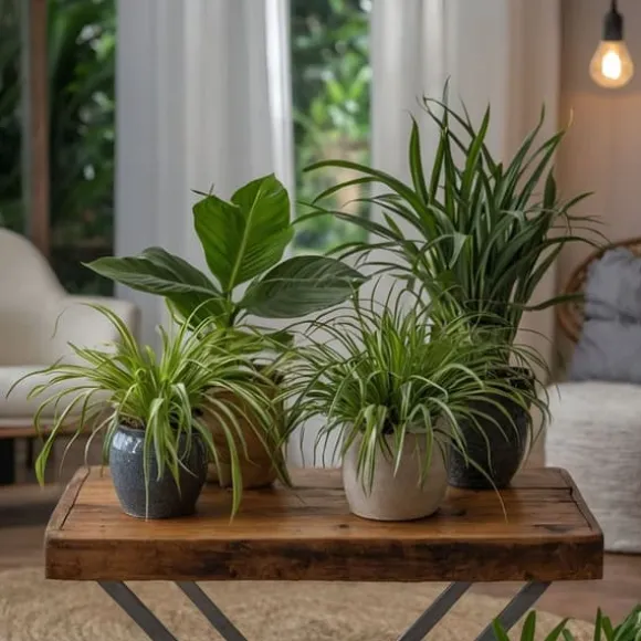 Dyrevenlige planter - Sæt 4 m. kurve - H.25-40cm - ⌀12cm