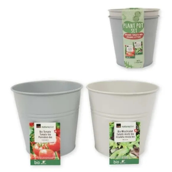 Dyrkningssæt Bucket Bio Tomater og Salat
