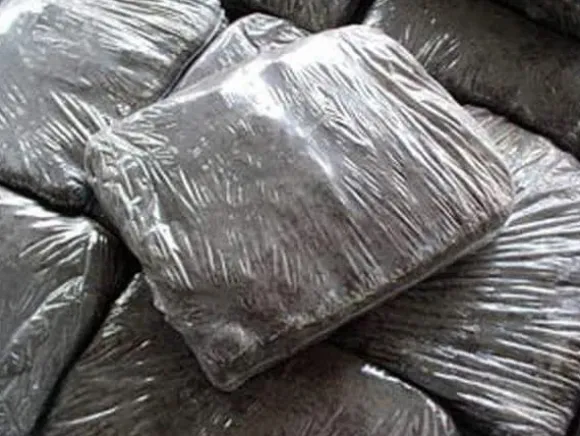 Dyrkningssæt til brune svampemycelier, 20 kg balle, 3-faset substrat