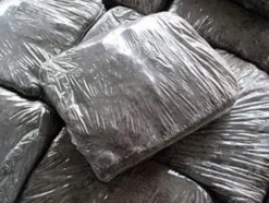 Dyrkningssæt til hvide svampe, 20 kg balle, 3-faset myceliumsubstrat, testet
