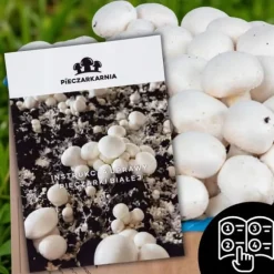 Dyrkningssæt til svampemycelium, 8 kg, instruktioner til hjemmedyrkning + gratis gave