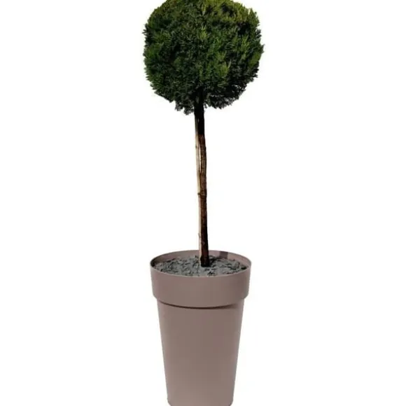 EDA Potte/Høj Vase TOSCANE - 67 L - Ø 46 x H 65 cm - Taupe