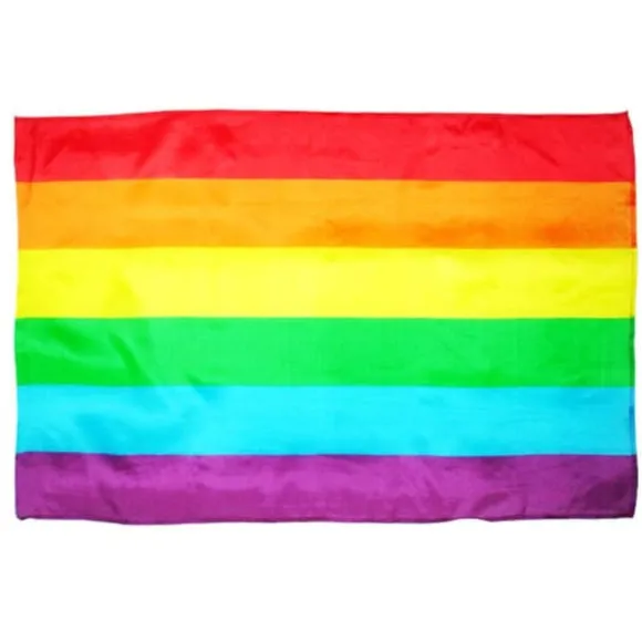 Flag Big LGBT+ Colors