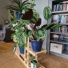 Flerniveau træblomsterkrukke RKB /95x116x25/ Naturlig brændt