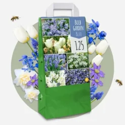 Forårsblomst pærer blå - Sæt med 125 - Blomsterløg - Blå
