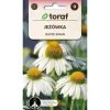 Frø af hvid svanesolhat - hvidblomstrende staude, der tiltrækker sommerfugle