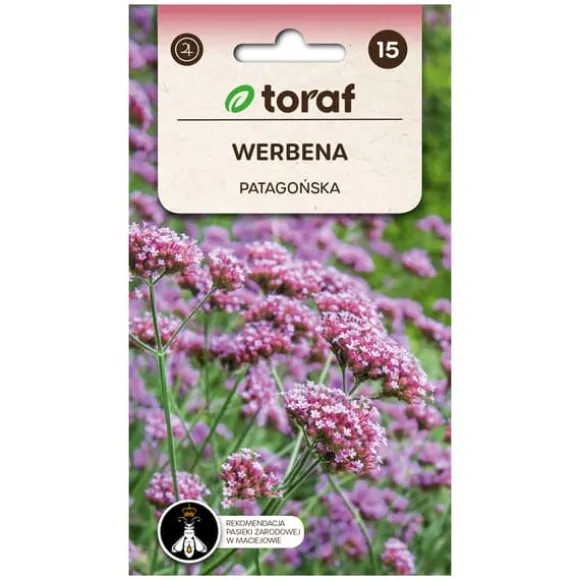 Frø af kæmpeverbena - Lang blomstrende staude, der tiltrækker bestøvere