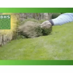 Frø BHS