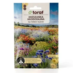 Frøblanding med vilde blomster til tørre områder - nektarrige blomster til bier og sommerfugle