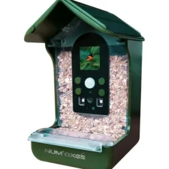 Fuglefoder-/drikkekrukke med integreret kamera - NUM'AXES - CAM1074 - 120° - Grøn