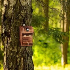 Fuglekasse, 24,5x14x14 cm, Natur