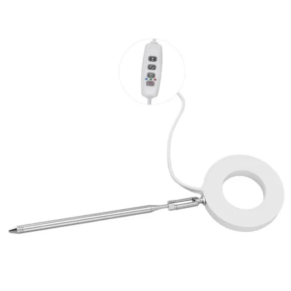 fuldspektret USB LED-plantevækstlampe i engelringform til indendørs plantevækst