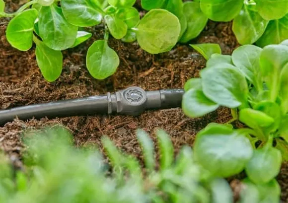 Gardena MDS stik 4,6 mm (3/16"") / 10 stk. / - 13213-20