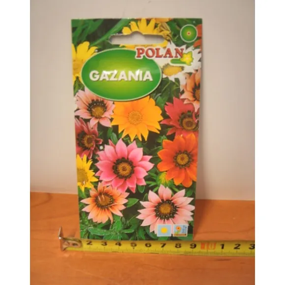 GAZANIA PN4078 frø