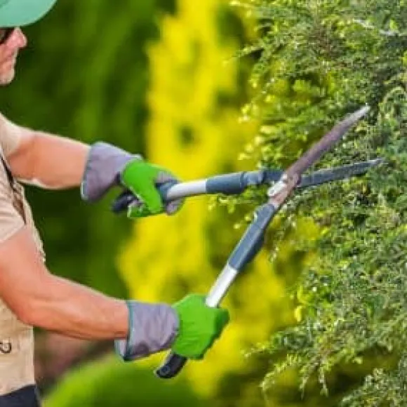Gødning til nåletræer Thuja Granulat Have Start 10kg