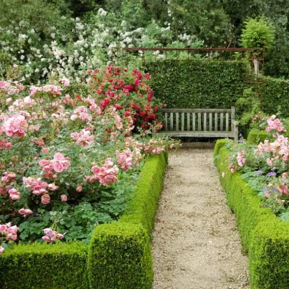 Gødning til Rose Blomster Granulat Have Start 2kg