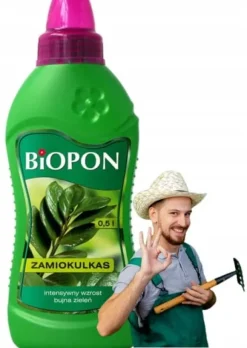 Gødning til Zamioculcas 500ml Intensiv vækst og frodig grøn plantevækst