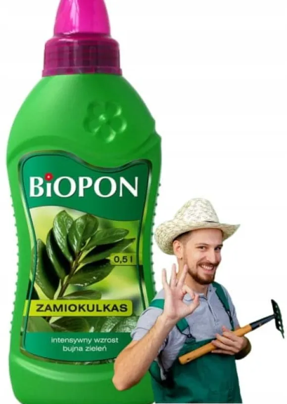 Gødning til Zamioculcas 500ml Intensiv vækst og frodig grøn plantevækst