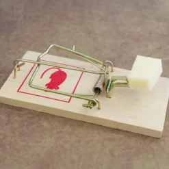 Gnaverfælde sæt, 2x10x4,5 cm, Træ