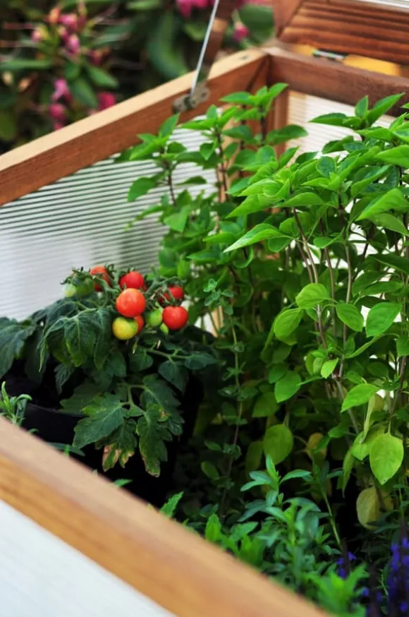 Greenspot Mini Drivhus med Overdækning til Altan og Terrasse 80x45x120 cm - Drivhus på en træplatform, Hævet træbed, Kold ramme med overdækning på høj | CDON