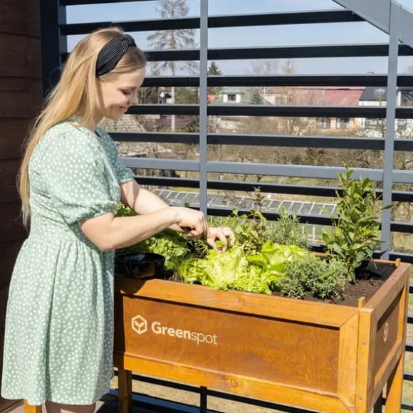 Greenspot Mini Drivhus med Overdækning til Altan og Terrasse 80x45x120 cm - Drivhus på en træplatform, Hævet træbed, Kold ramme med overdækning på høj | CDON